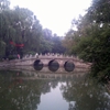 北京大学校园照片_88