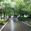 武汉纺织大学外经贸学院校园照片_94388
