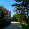 延安大学西安创新学院校园照片_109943