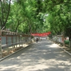 北京农学院校园照片_1850
