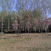 北京北大方正软件职业技术学院校园照片_72652