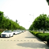 天津渤海职业技术学院校园照片_77749