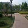 天津渤海职业技术学院校园照片_77742