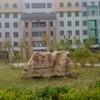 天津渤海职业技术学院校园照片_77763