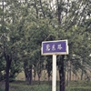 天津开发区职业技术学院校园照片_85183