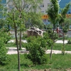 内蒙古交通职业技术学院校园照片_113802