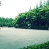 上海科学技术职业学院校园照片_81615