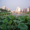 上海电影艺术职业学院校园照片_116254