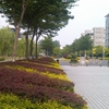 杭州职业技术学院校园照片_84727
