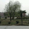 郑州电子信息职业技术学院校园照片_125357
