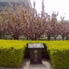 郑州旅游职业学院校园照片_125680