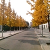 郑州职业技术学院校园照片_125732
