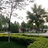 郑州信息工程职业学院校园照片_126353
