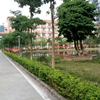 广州南洋理工职业学院校园照片_129324