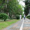 广州现代信息工程职业技术学院校园照片_129638
