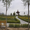 内蒙古财经大学校园照片_8242