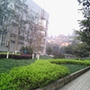 重庆工程学院校园照片_74195