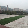 重庆城市职业学院校园照片_131854