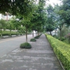 重庆城市职业学院校园照片_131884