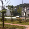 重庆科技职业学院校园照片_132941