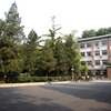 中国地质大学(北京)校园照片_56988