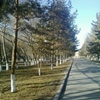 新疆农业职业技术学院校园照片_50419