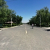 新疆交通职业技术学院校园照片_136579