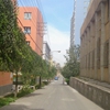 新疆师范高等专科学校校园照片_136663