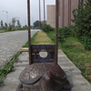 内蒙古大学校园照片_7702