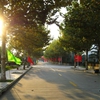 上海对外经贸大学校园照片_16136