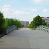 上海海关学院校园照片_16230