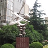 上海立信会计金融学院校园照片_50922