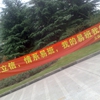 上海立信会计金融学院校园照片_51040