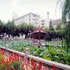 南京信息工程大学校园照片_18731