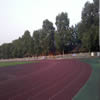 南京体育学院校园照片_19975