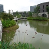 杭州师范大学校园照片_21234