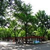 北京工业大学校园照片_593