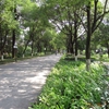 桂林电子科技大学校园照片_35858