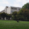 贵州师范大学校园照片_39928