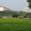 中国地质大学(武汉)校园照片_31317