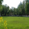 新疆农业大学校园照片_45078