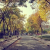 新疆师范大学校园照片_45343