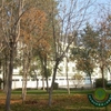 新疆师范大学校园照片_45329