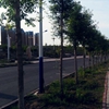 新疆工程学院校园照片_50351